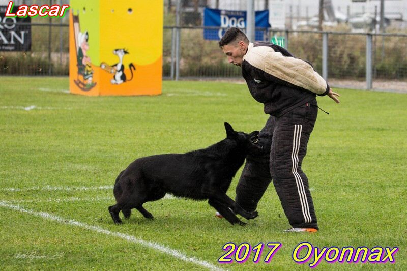 2017-oyo-lascar (3).jpg
